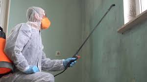 Why You Should Choose Our Mold Remediation Services in Lesslie, SC